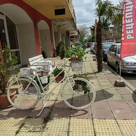 Palma Hotel