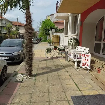 Palma 부르가스